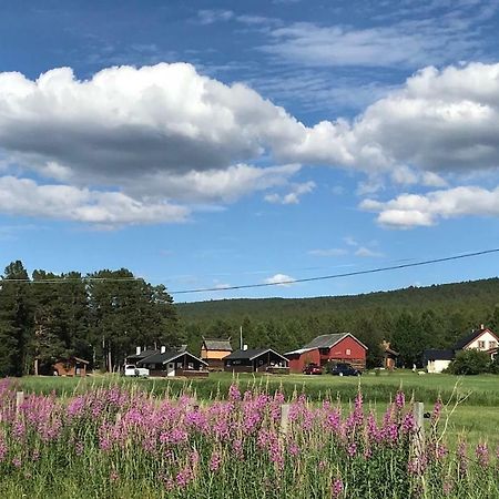 Roste Hyttetun Og Camping Os (Hedmark) المظهر الخارجي الصورة