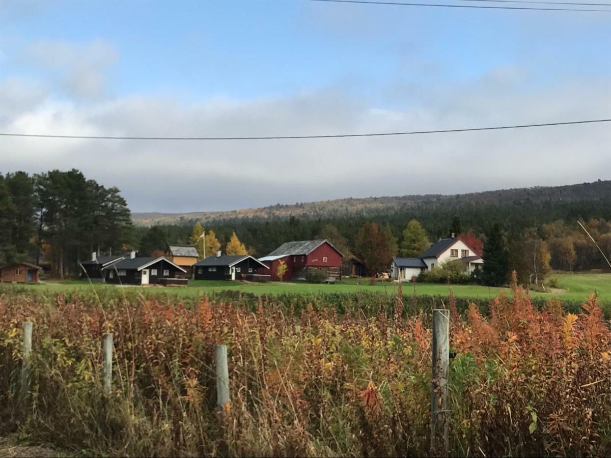 Roste Hyttetun Og Camping Os (Hedmark) المظهر الخارجي الصورة