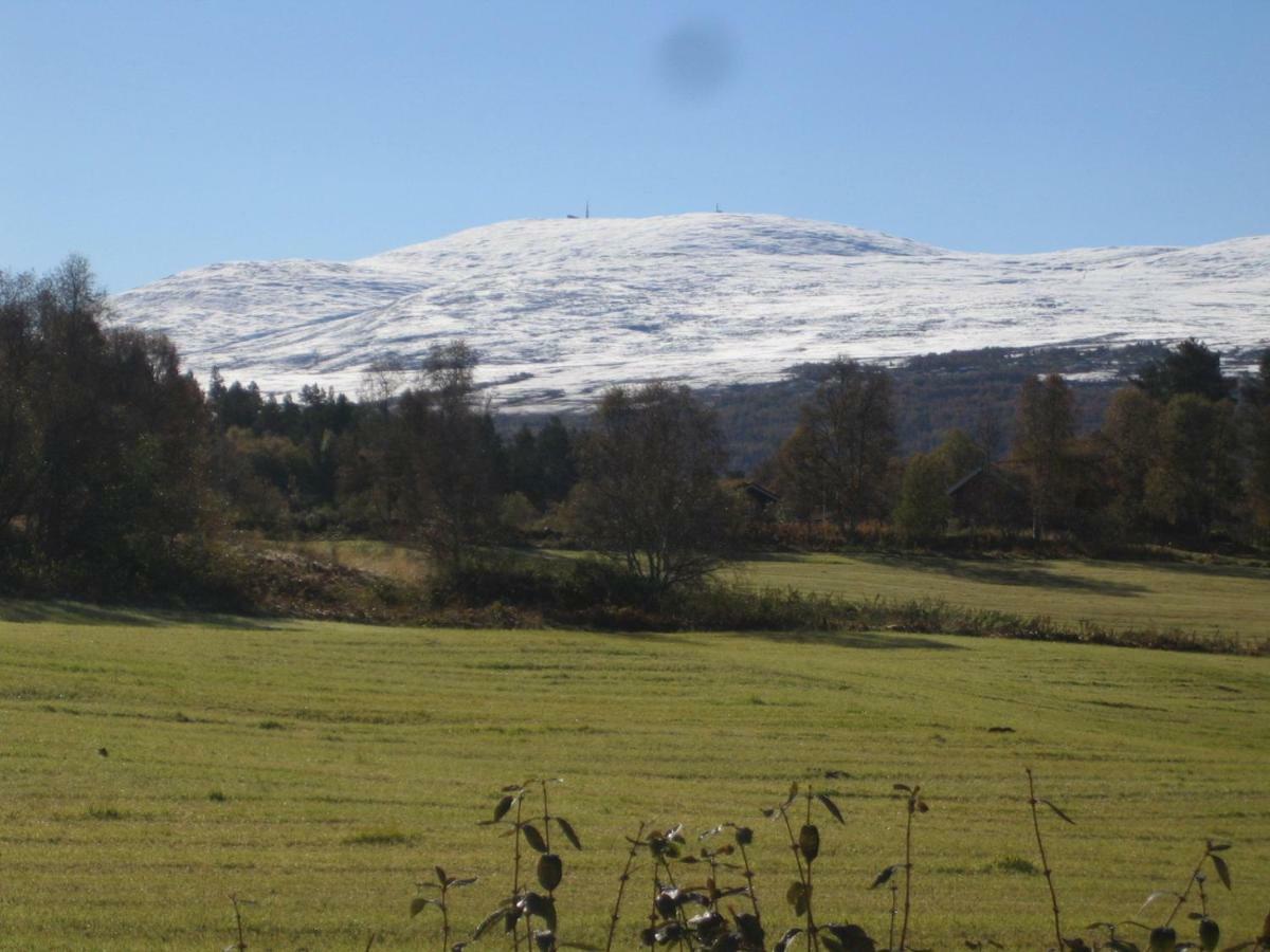 Roste Hyttetun Og Camping Os (Hedmark) المظهر الخارجي الصورة
