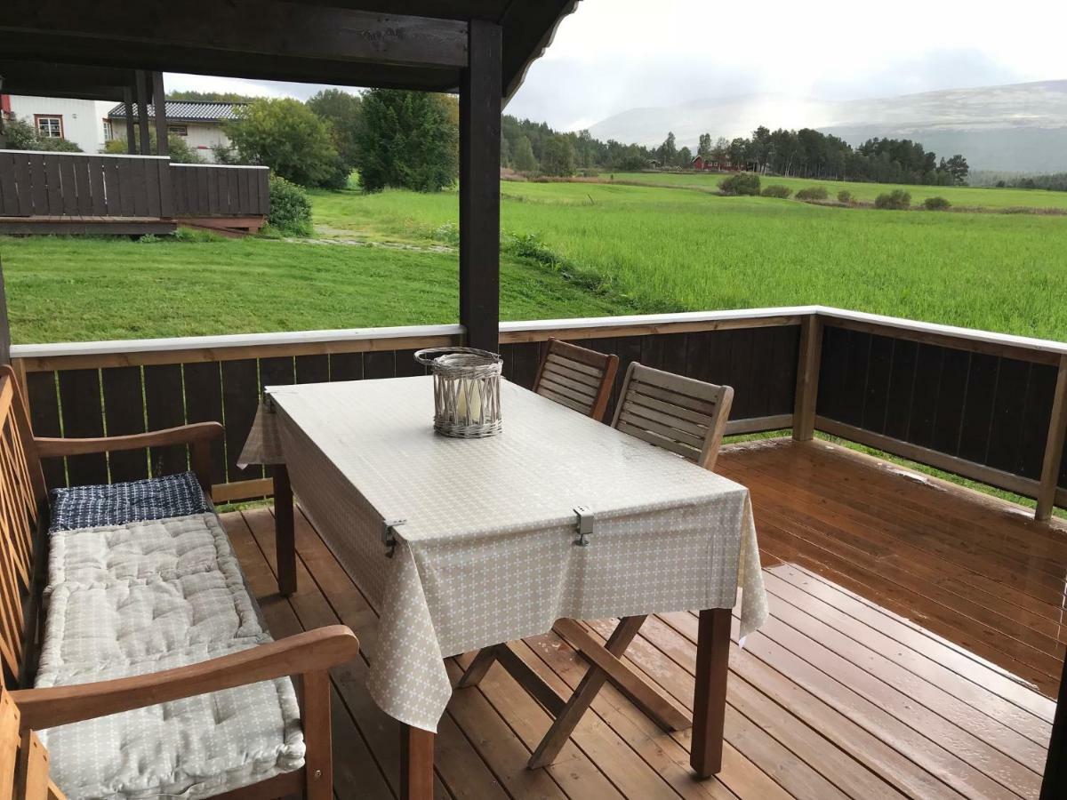Roste Hyttetun Og Camping Os (Hedmark) المظهر الخارجي الصورة