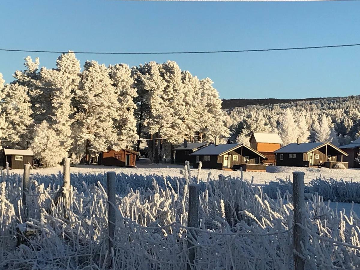 Roste Hyttetun Og Camping Os (Hedmark) المظهر الخارجي الصورة