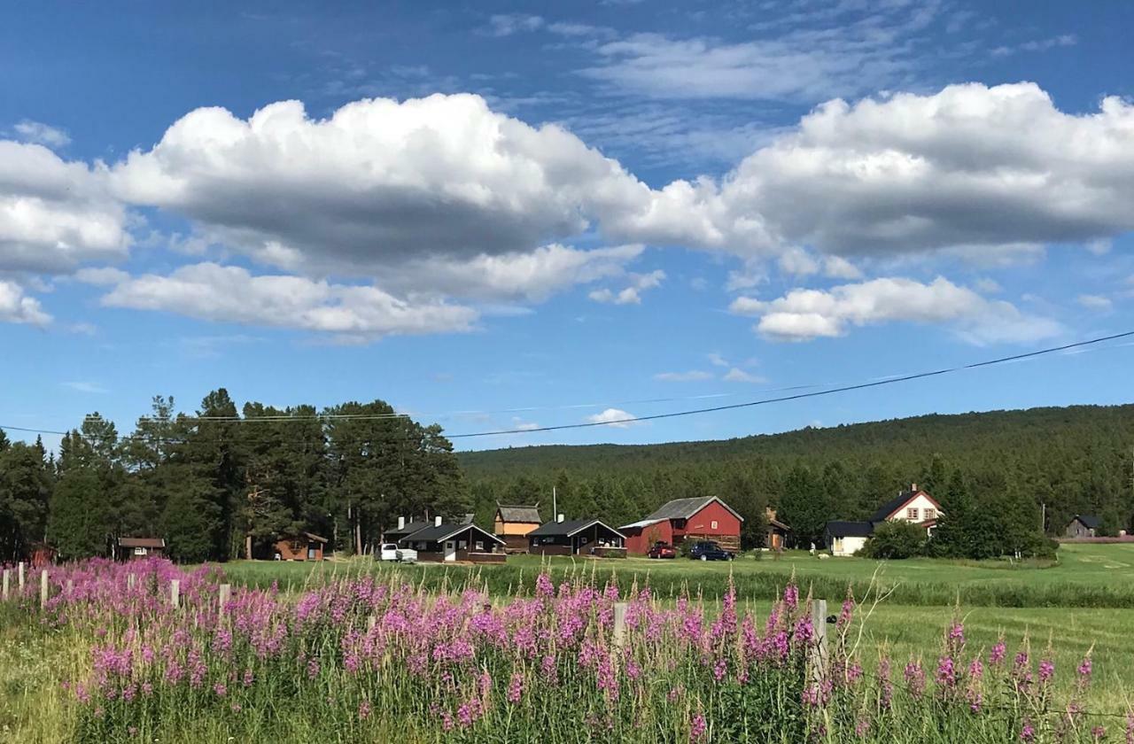 Roste Hyttetun Og Camping Os (Hedmark) المظهر الخارجي الصورة